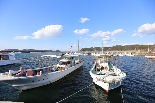 釣果情報