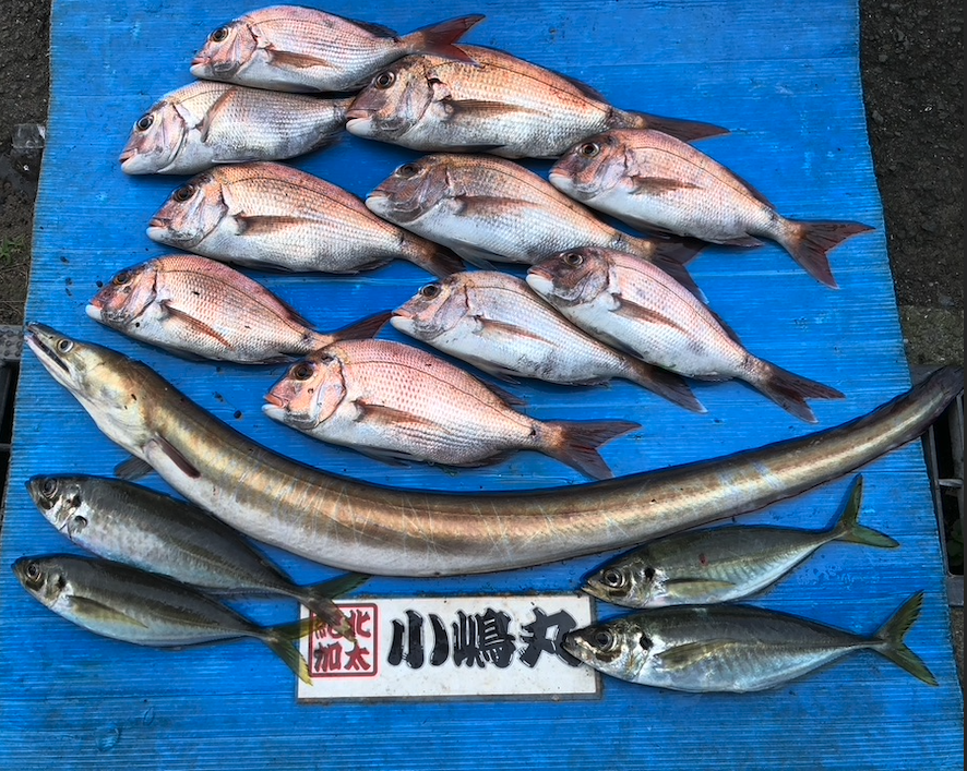 釣果情報